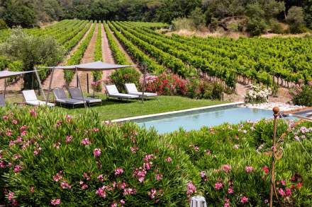 Clos des Roses · Vignoble Var à Fréjus · Piscine et transats 