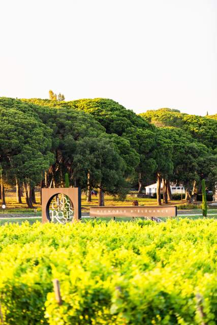 vignoble d'élégance