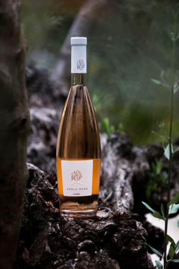 Domaine Viticole Fréjus · Clos des Roses · Salon Extérieur